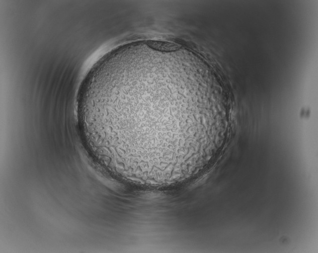X0000110700246200907022004