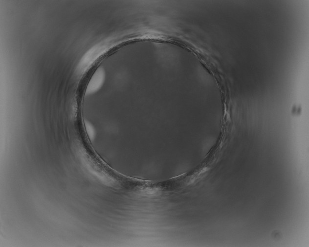 X0000110700247200907022004