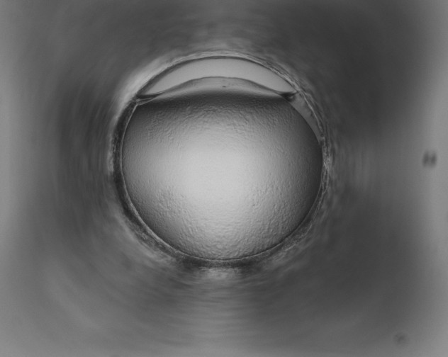 X0000110700248200907022004