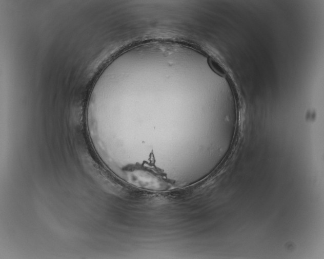 X0000110700249200907022004