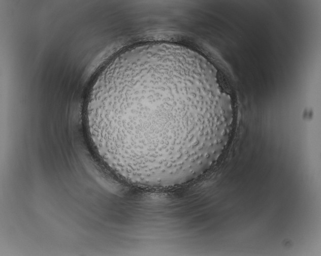 X0000110700250200907022004