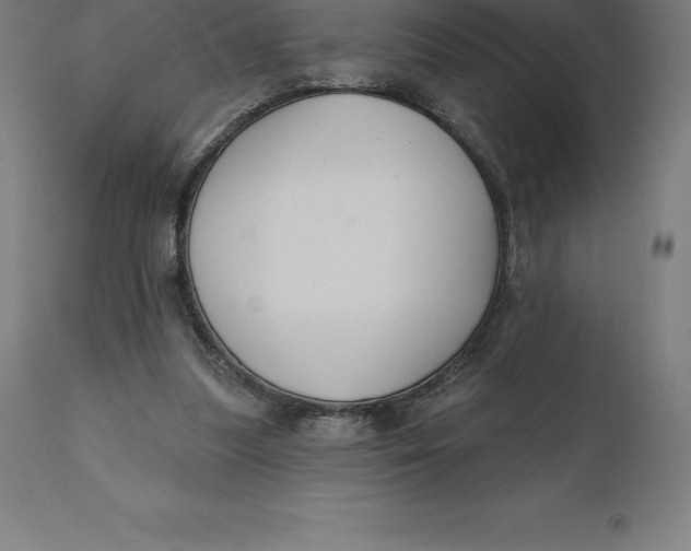 X0000110700251200907022004