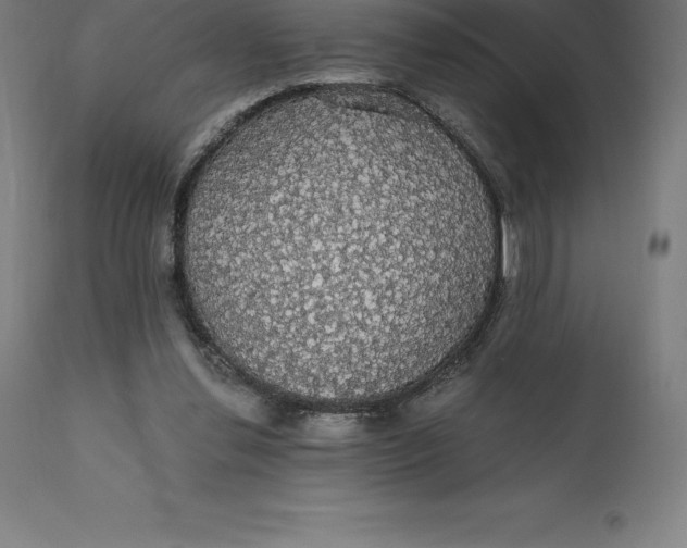 X0000110700252200907022004