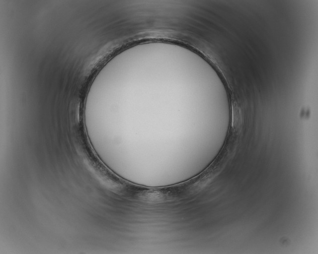 X0000110700253200907022005
