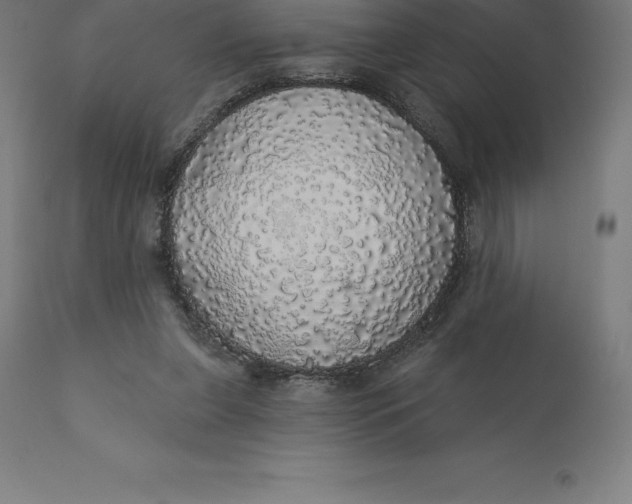 X0000110700255200907022005