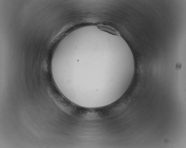 X0000110700256200907022005