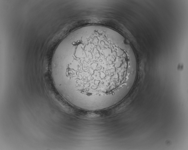 X0000110700257200907022005