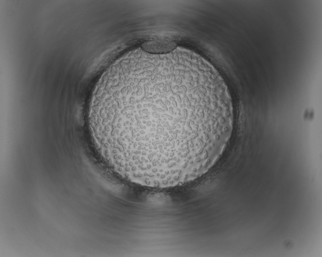 X0000110700258200907022005