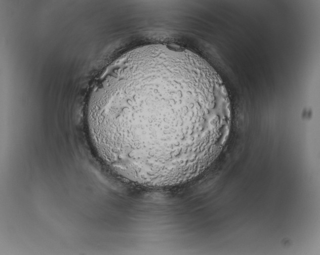 X0000110700259200907022005