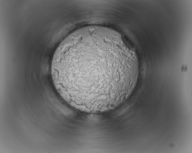 X0000110700261200907022005
