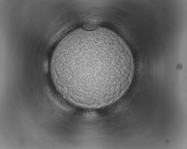X0000110700262200907022005