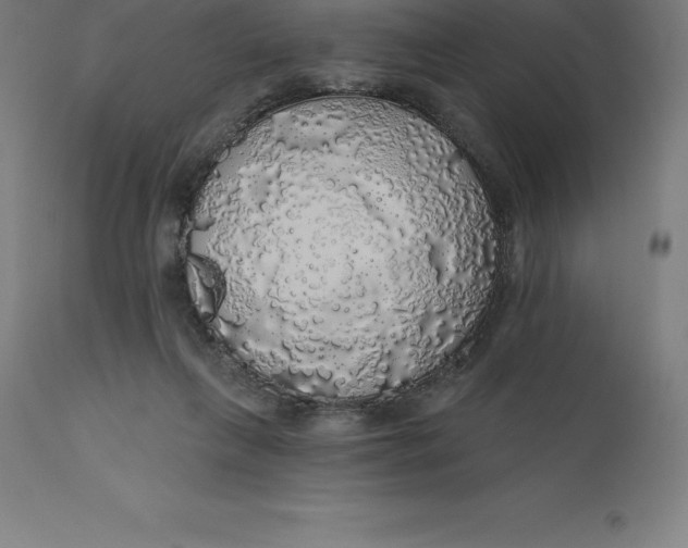 X0000110700263200907022005