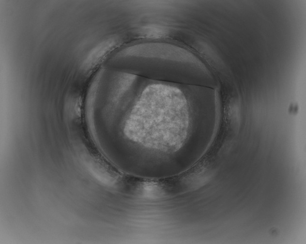 X0000110700264200907022005