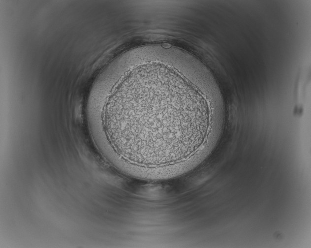 X0000110700267200907022005