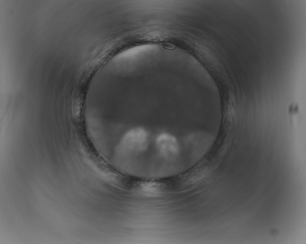 X0000110700268200907022005