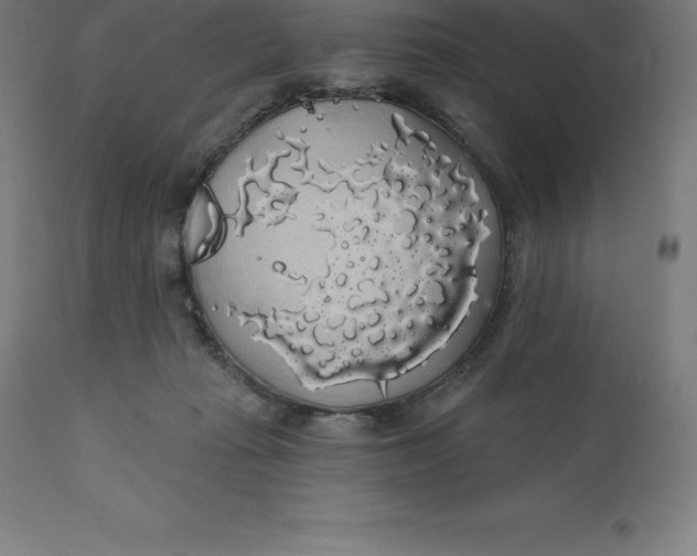 X0000110700269200907022005