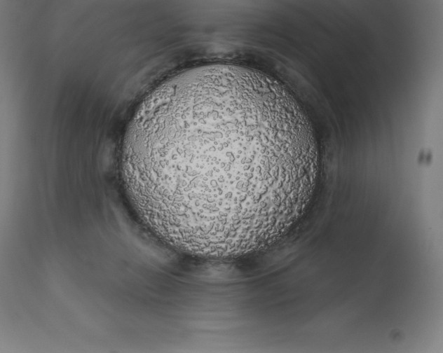 X0000110700270200907022005