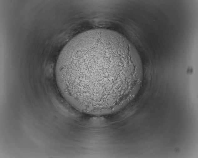 X0000110700271200907022005
