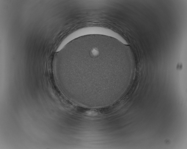 X0000110700272200907022005