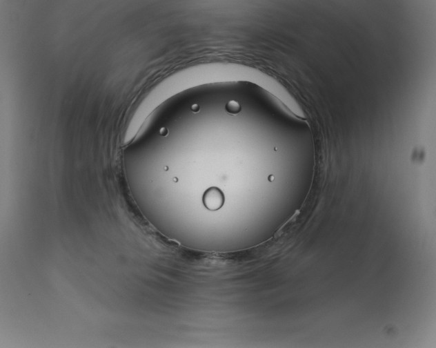 X0000110700276200907022005
