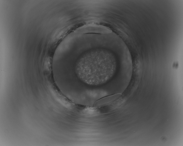 X0000110700280200907022005
