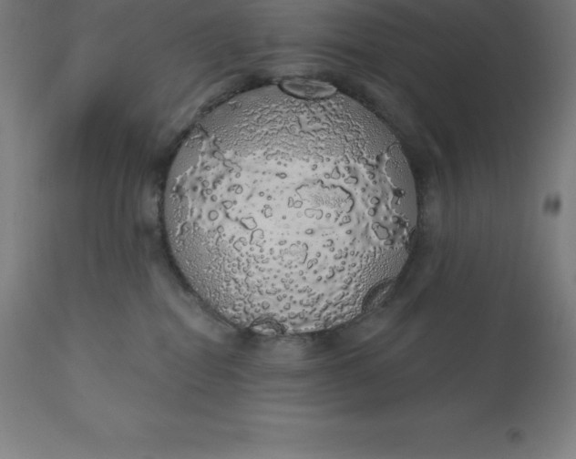 X0000110700282200907022005