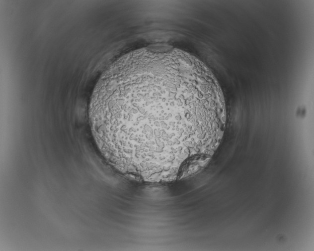 X0000110700283200907022005