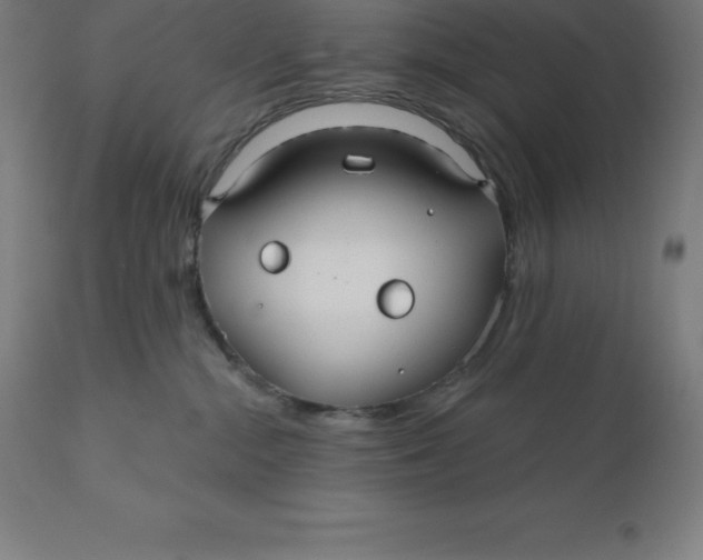 X0000110700284200907022005
