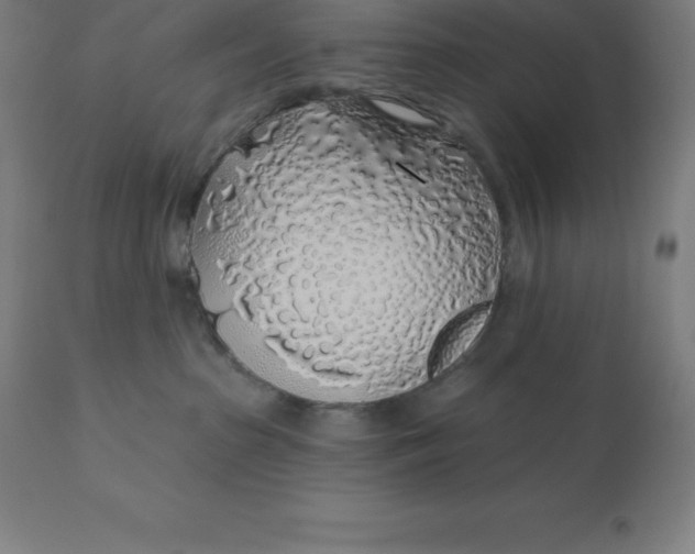 X0000110700285200907022005