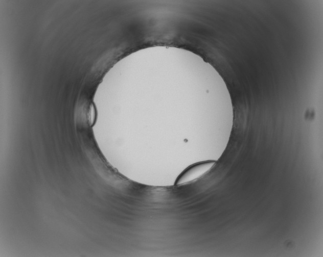 X0000110700287200907022005