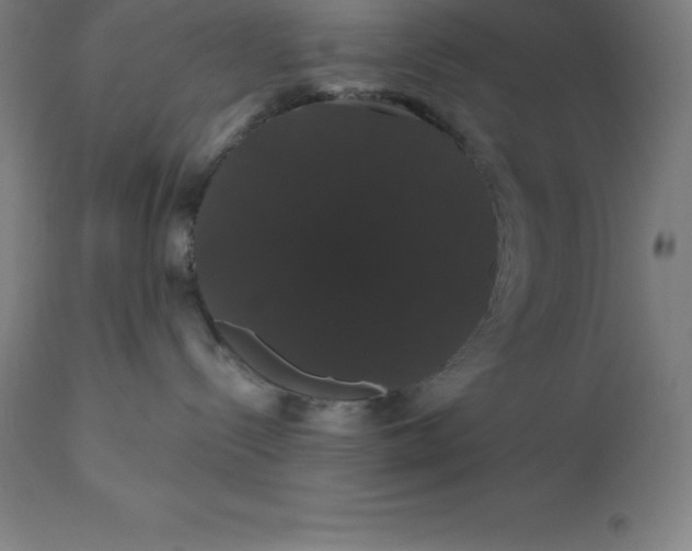 X0000110700288200907022005