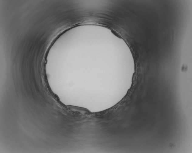 X0000110700289200907022004