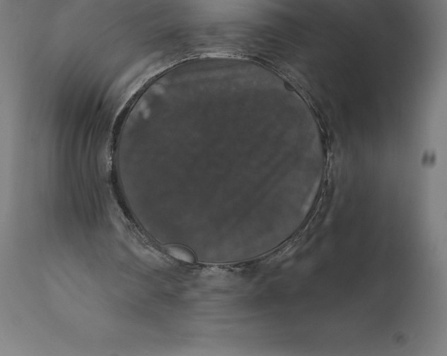 X0000110700290200907022004