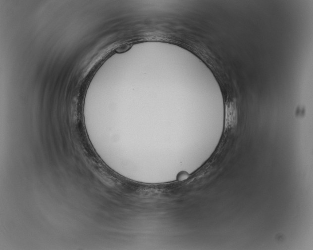 X0000110700291200907022004