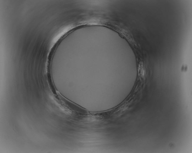 X0000110700292200907022004