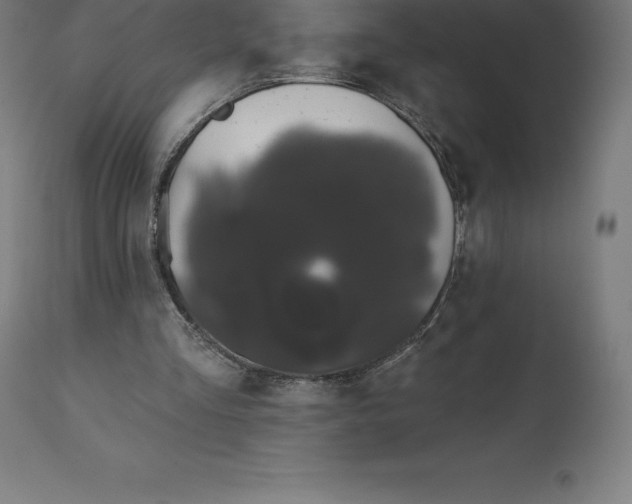 X0000110700293200907022004
