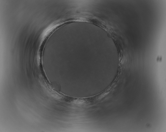 X0000110700294200907022004