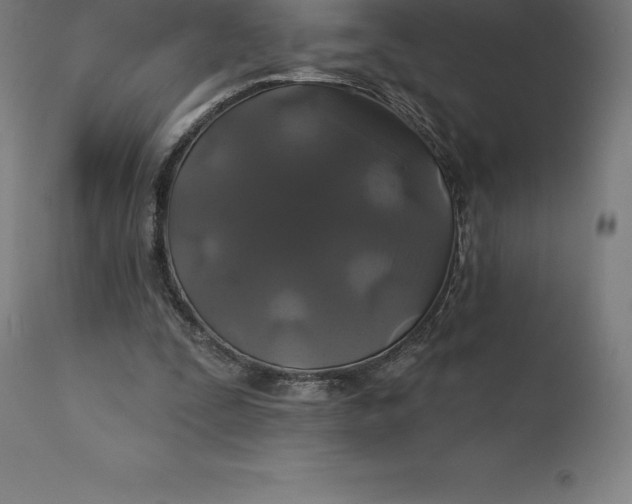 X0000110700295200907022004