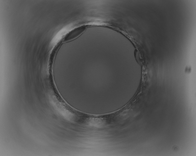 X0000110700296200907022004