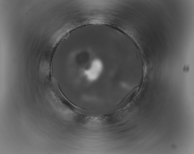 X0000110700297200907022004