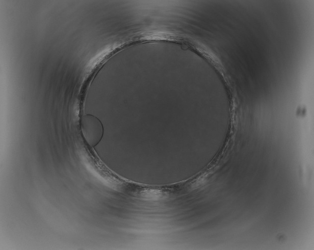 X0000110700298200907022004