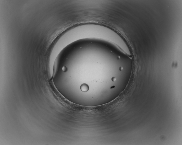 X0000110700299200907022004