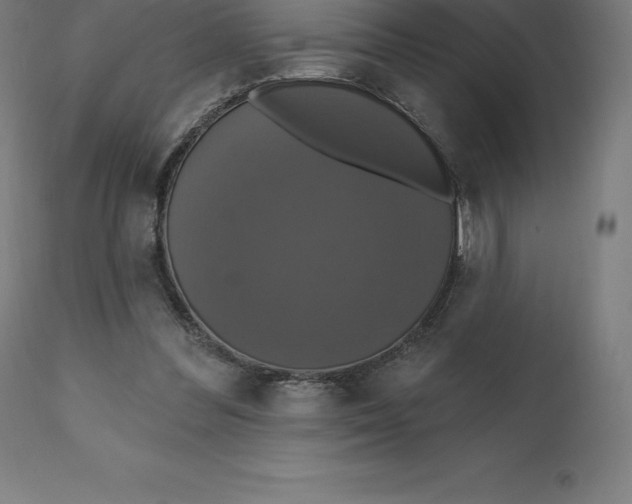 X0000110700300200907022004