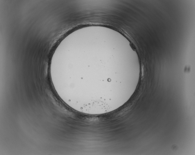 X0000110700301200907022004