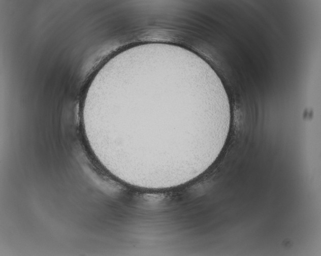 X0000110700302200907022004