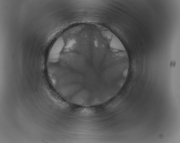 X0000110700303200907022004