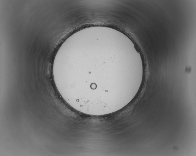X0000110700305200907022004
