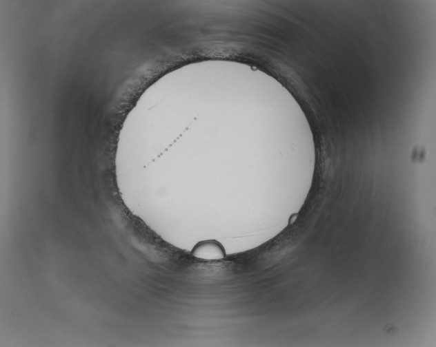 X0000110700307200907022004
