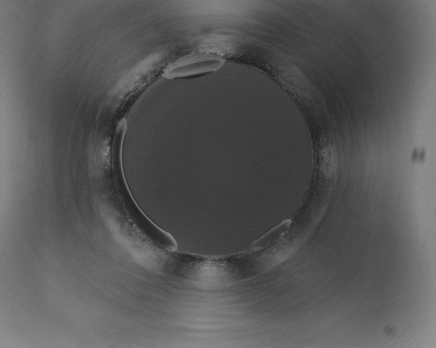 X0000110700308200907022004