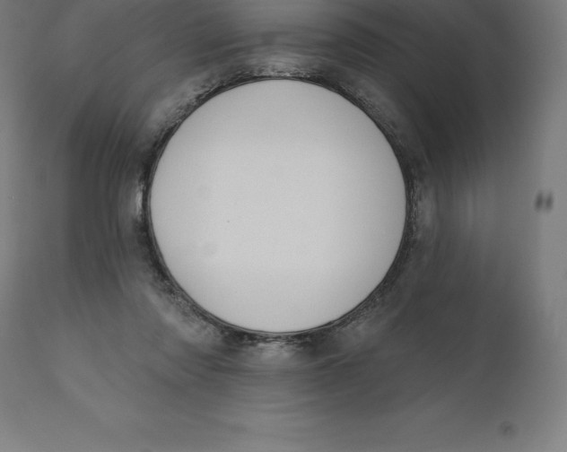 X0000110700310200907022004